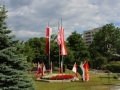 IMG_8521